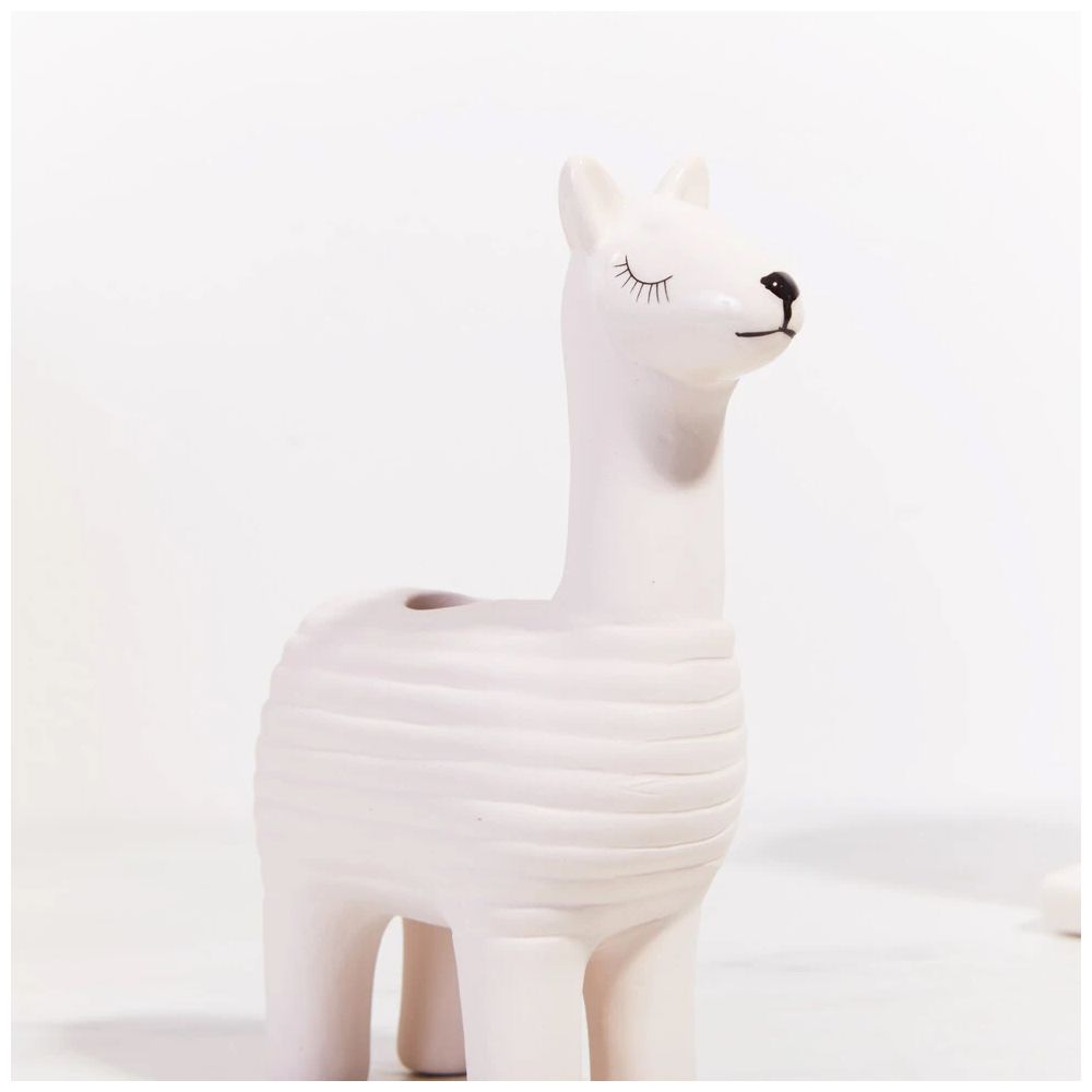 Llama Chia Pet
