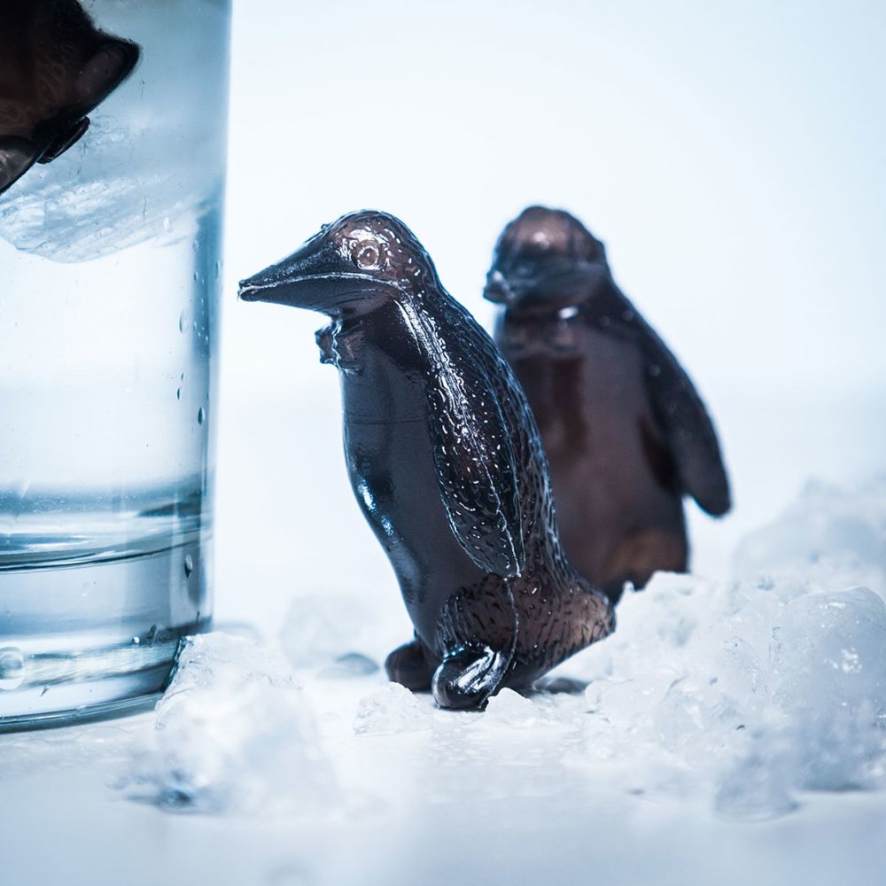 Chilly Feet Penguin Drinks Coolers
