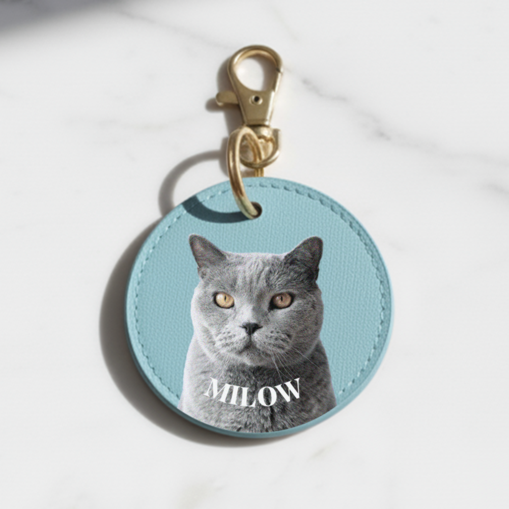 Personalised Round Pet Keychain